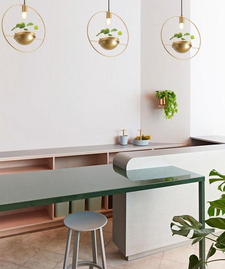 Cassandra - Gold Finish Pendant Lamp with Planter - Pendant