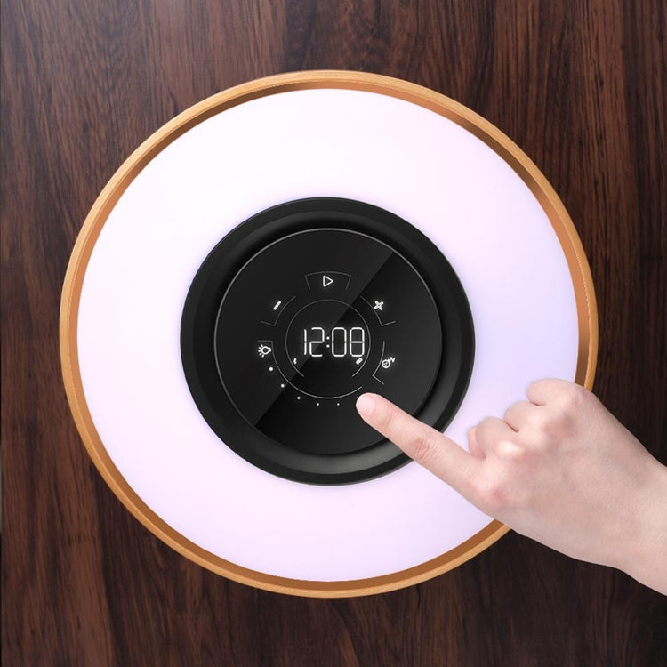 Oval Wonder Luxury Desk Lamp - Table Lamp