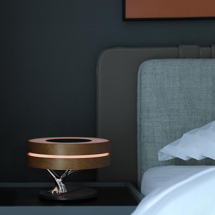 Oval Wonder Luxury Desk Lamp - Table Lamp