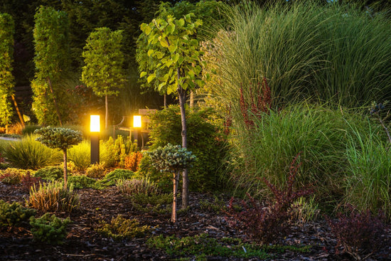 Light up your garden with garden lighting