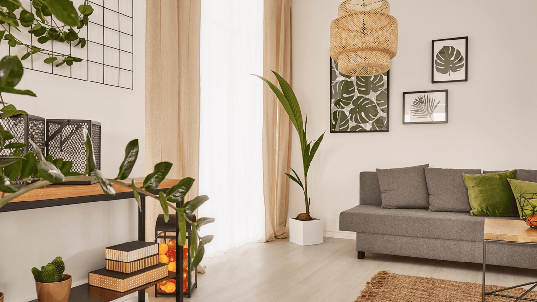 living room sustainable home decor with house plants