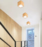 Ailana - Flush mounted Ceiling Lights - Ceiling Light
