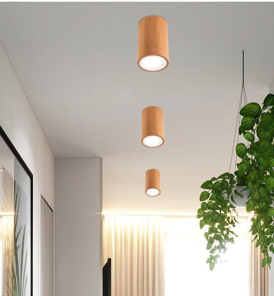 Ailana - Flush mounted Ceiling Lights - White Light / Round 