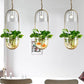 Appealing Hanging Planter Lamp - Gold - Pendant Lamp