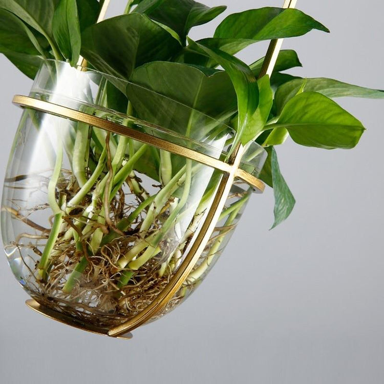 Appealing Hanging Planter Lamp - Pendant Lamp