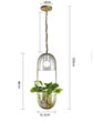 Appealing Hanging Planter Lamp - Pendant Lamp