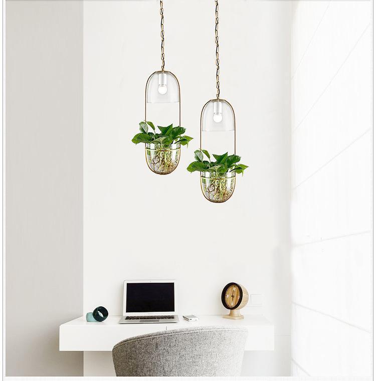 Appealing Hanging Planter Lamp - Pendant Lamp