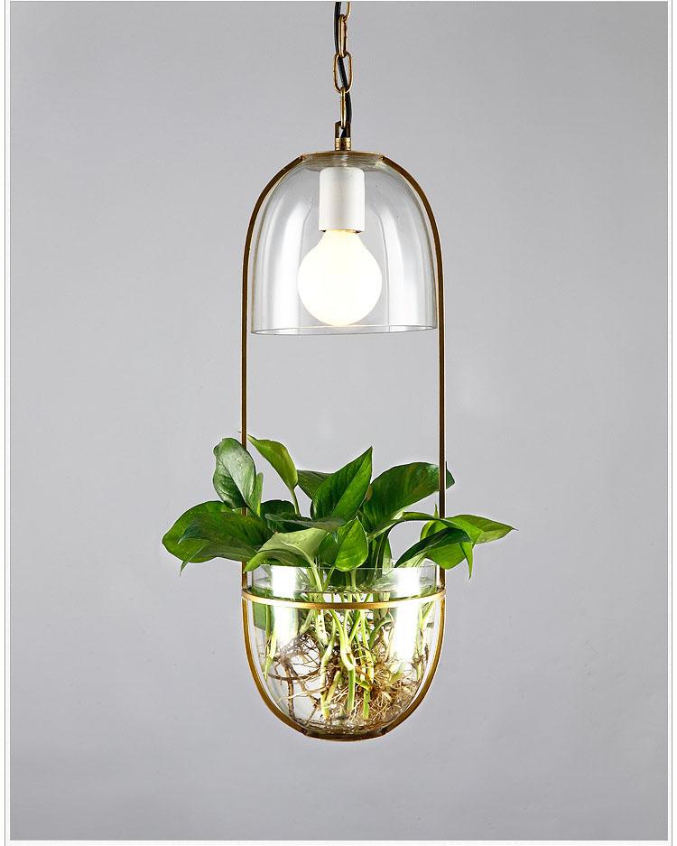 Appealing Hanging Planter Lamp - Pendant Lamp