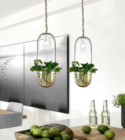 Appealing Hanging Planter Lamp - Pendant Lamp