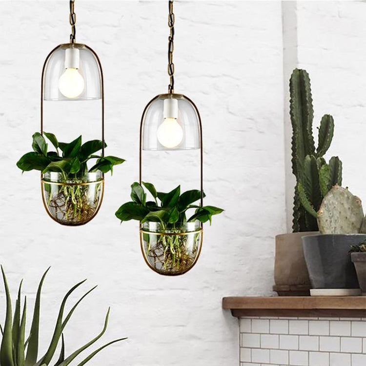 Appealing Hanging Planter Lamp - Pendant Lamp