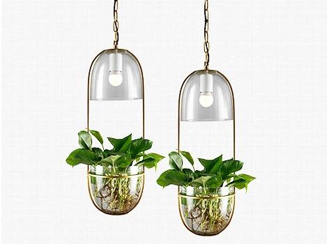 Appealing Hanging Planter Lamp - Pendant Lamp