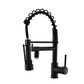 Astrid Black Kitchen Faucet - Black - Faucet