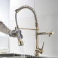 Astrid Golden Kitchen Faucet - Faucet