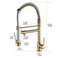 Astrid Golden Kitchen Faucet - Faucet