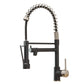 Astrid Golden Kitchen Faucet - Black - Faucet