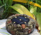 Cobblestone Solar LED Garden Light - Solar Light