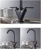Double Handle Black Kitchen Faucet - Faucet