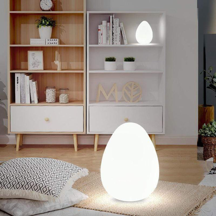 Egg Shaped Decorative Floor Lamp - Floor Lamp