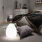Egg Shaped Decorative Floor Lamp - Floor Lamp