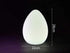 Egg Shaped Decorative Floor Lamp - Small - Floor Lamp