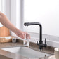 Elegant 3-in-1 Kitchen faucet - Faucet