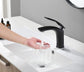 Elementary Brass Bathroom Faucet - Black - Faucet