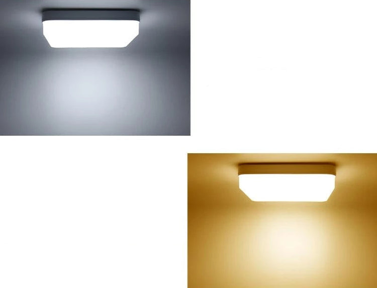 Elementary Square Ceiling Light - Ceiling Light