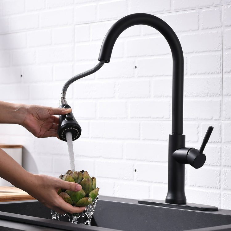 Elias Black Touch Kitchen Faucet - Faucet