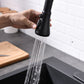 Elias Black Touch Kitchen Faucet - Faucet