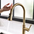 Elias Black Touch Kitchen Faucet - Gold - Faucet