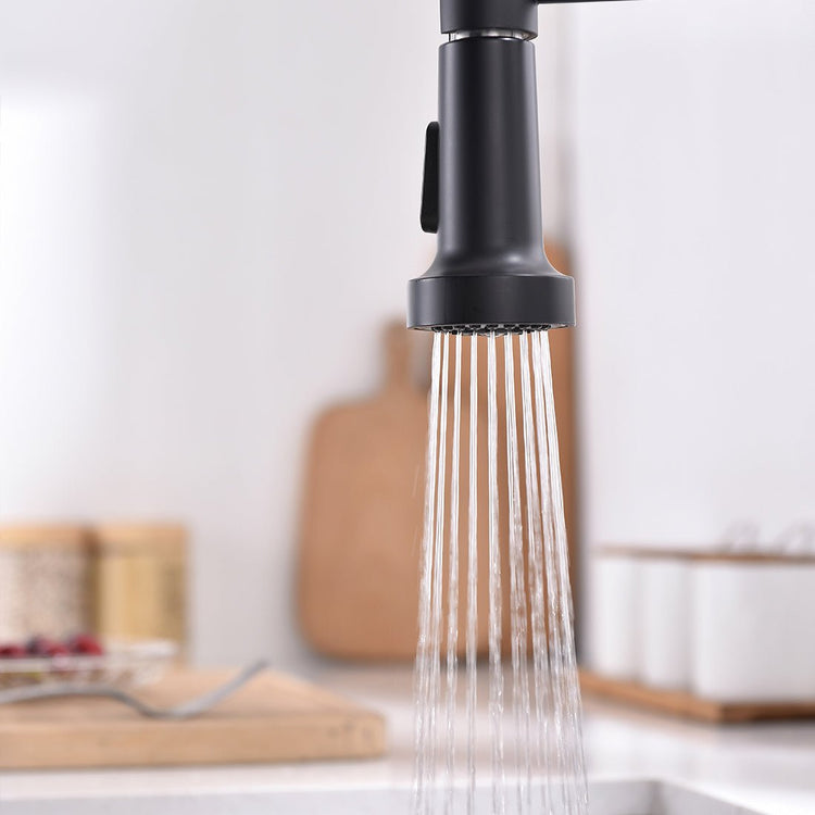 Freja Sensor Black Kitchen Faucet - Faucet