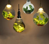 Globe Plant Pendant Lamp - Pendant Lamp