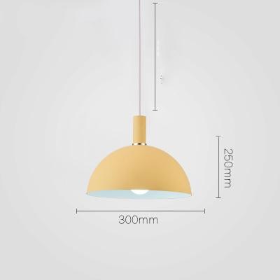 Hemisphere Lampshade Pendant Lamp - Pendant Lamp