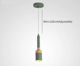 Jaivyn - Contemporary LED Pendant Lamp - Green 1 x Lamp - 