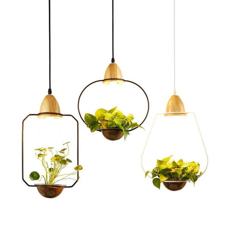 Lito - Contemporary Metal Planter Pendant Lamp - Pendant 