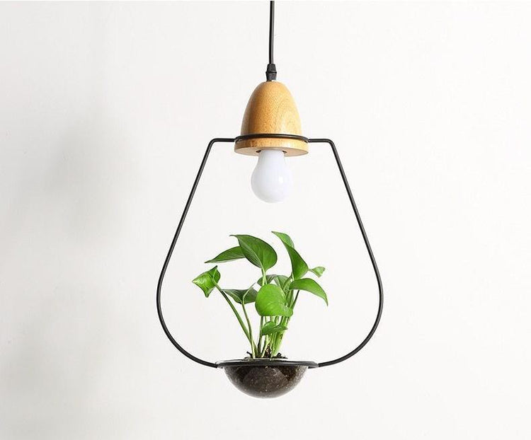 Lito - Contemporary Metal Planter Pendant Lamp - Pendant 