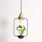 Lito - Contemporary Metal Planter Pendant Lamp - Pendant 