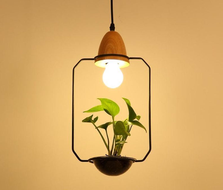 Lito - Contemporary Metal Planter Pendant Lamp - Pendant 