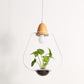 Lito - Contemporary Metal Planter Pendant Lamp - Cone / 