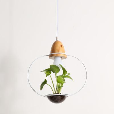 Lito - Contemporary Metal Planter Pendant Lamp - Round / 