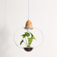 Lito - Contemporary Metal Planter Pendant Lamp - Round / 