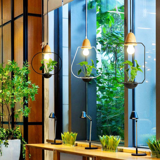 Lito - Contemporary Metal Planter Pendant Lamp - Square / 