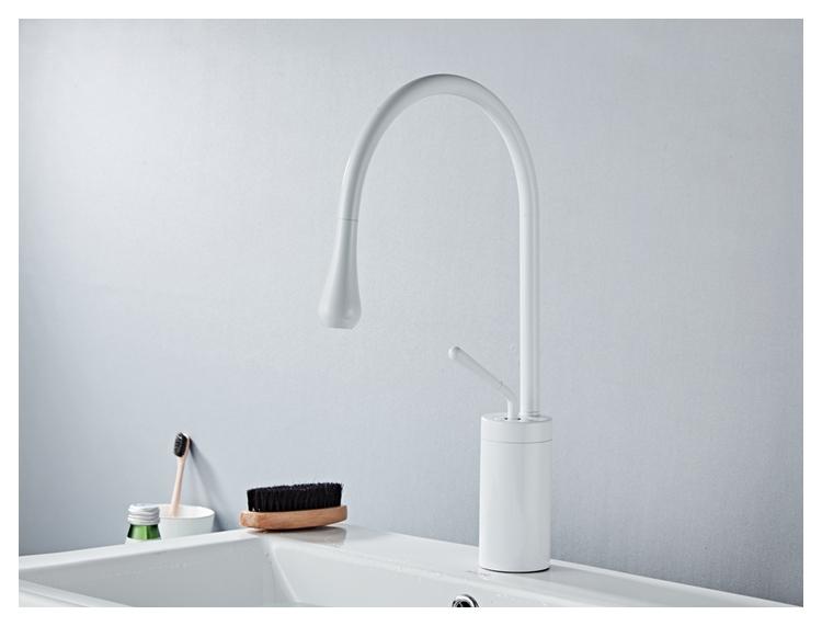 Long Loop Bathroom Kitchen faucet - Faucet