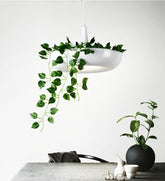 Lucian - Pendant Lamp with Planter - Pendant Lamp