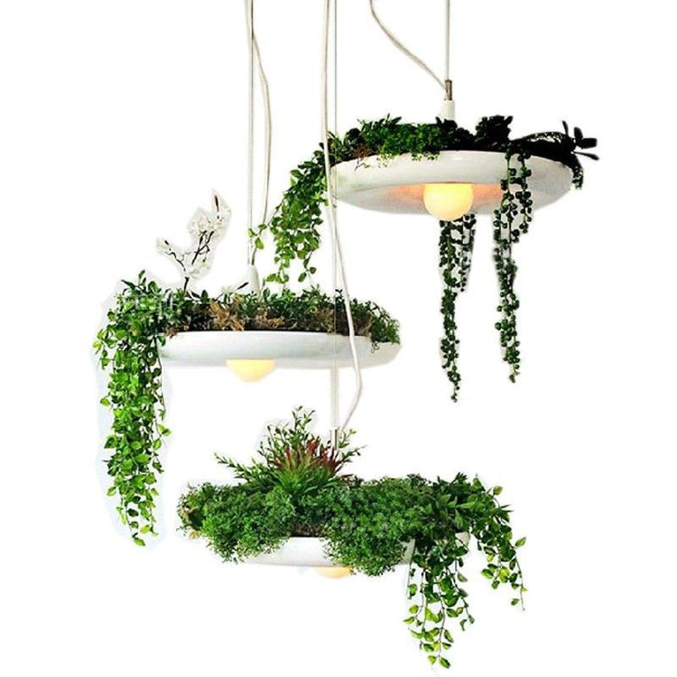 Lucian - Pendant Lamp with Planter - Pendant Lamp