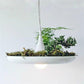 Lucian - Pendant Lamp with Planter - Pendant Lamp