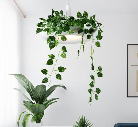 Lucian - Pendant Lamp with Planter - White - Pendant Lamp