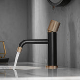 Metro Minimal Black Faucet - Faucet