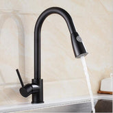 Minimal Pull out Kitchen Faucet - Black - Faucet
