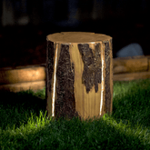 Natural Wood Log Light - Floor Lamp